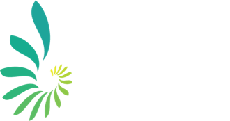 Homepage | Cairns Hinterland Steiner School